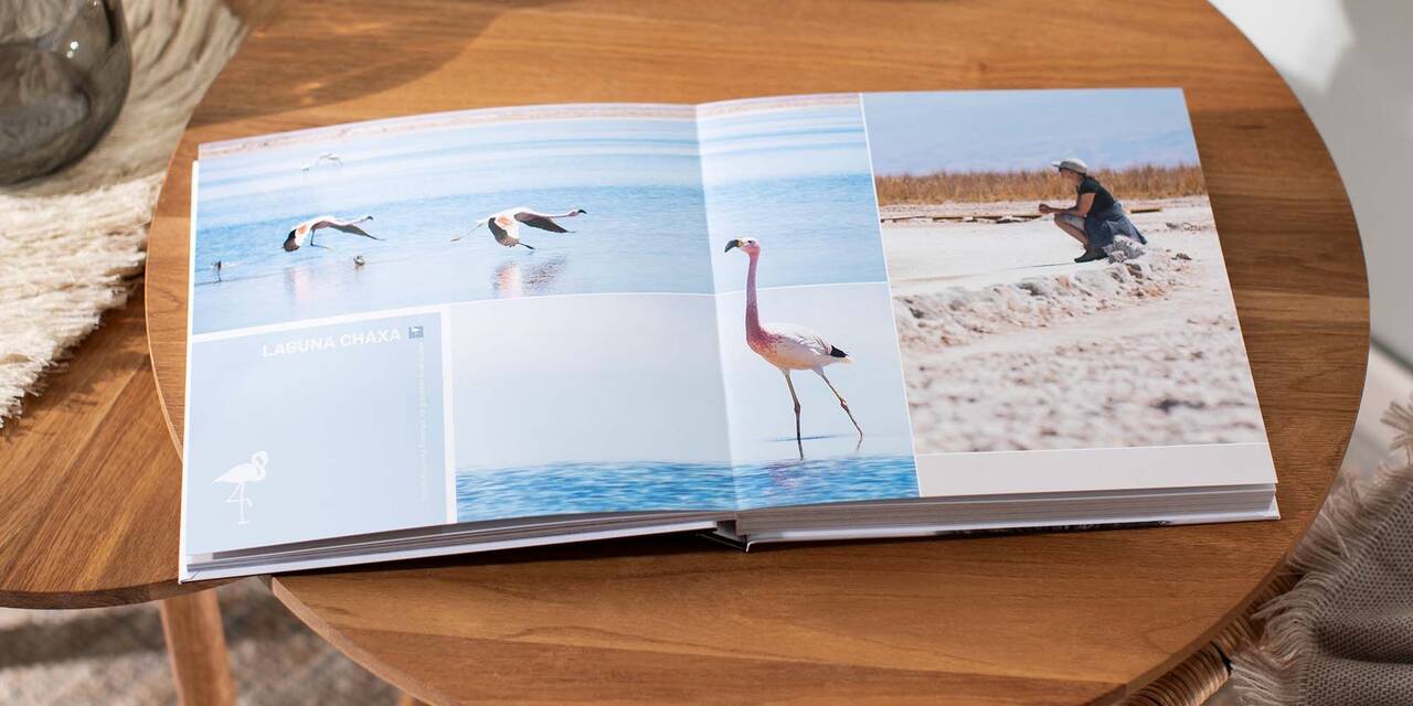 Eine Doppelseite im CEWE FOTOBUCH zeigt Flamingos und eine Person, die sie beobachtet. Das Buch liegt auf einem Tisch.